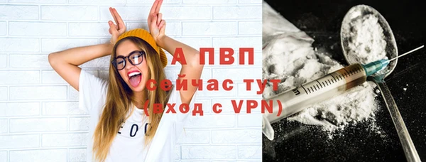 ешки Арсеньев