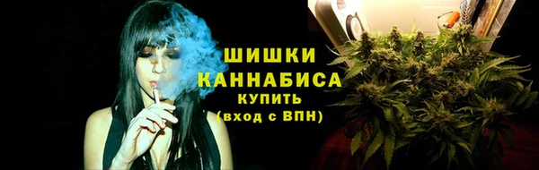 ешки Арсеньев