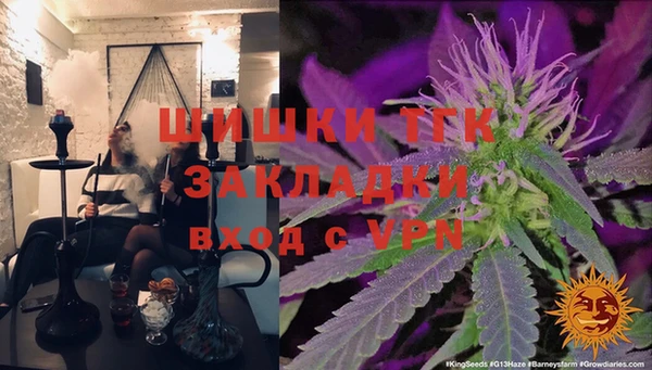 ешки Арсеньев