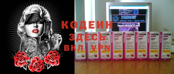 ешки Арсеньев