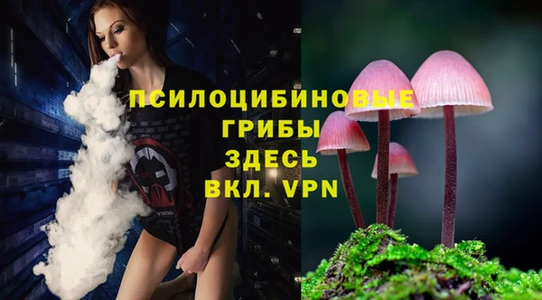 ешки Арсеньев