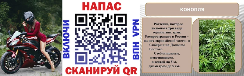 Канабис план  Купить закладки  Кизел 